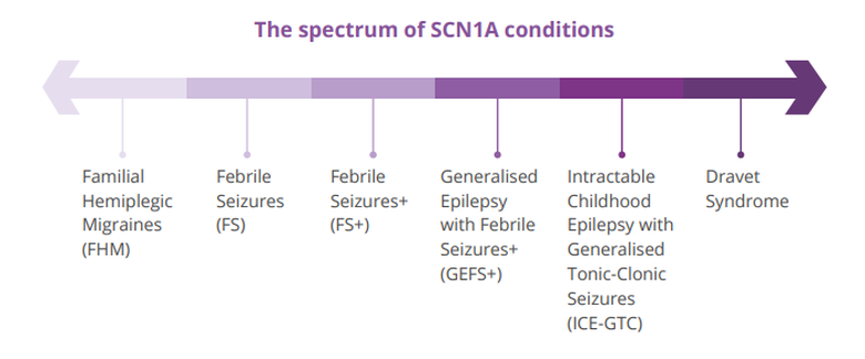 Spectrum of SCN1A conditions